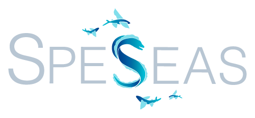SpeSeas