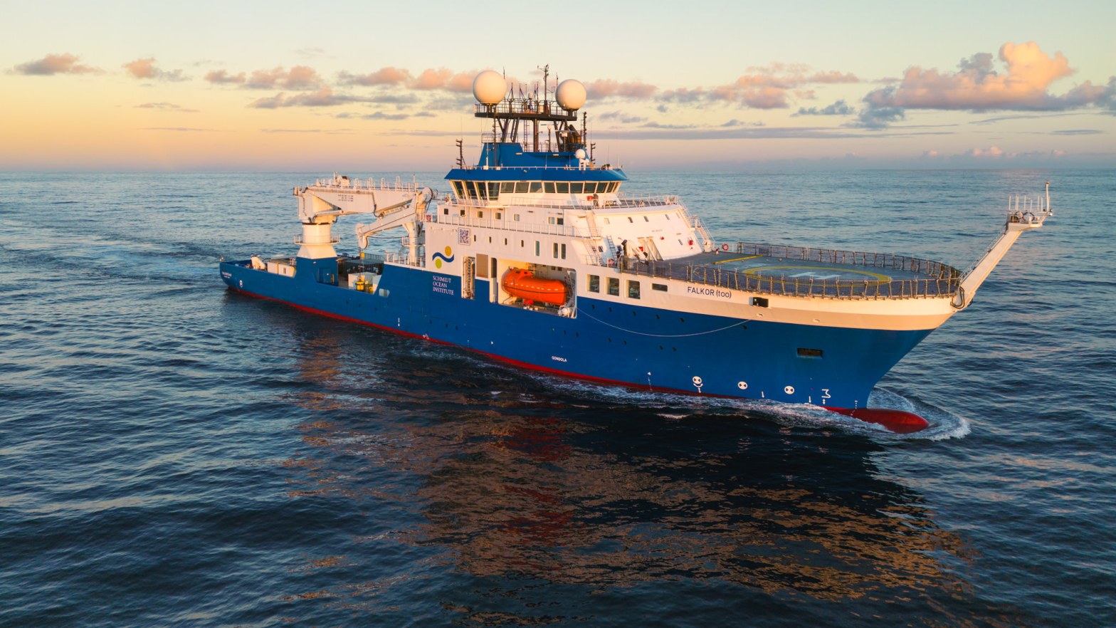 Deep Wonders of Trinidad and Tobago and the High Seas
