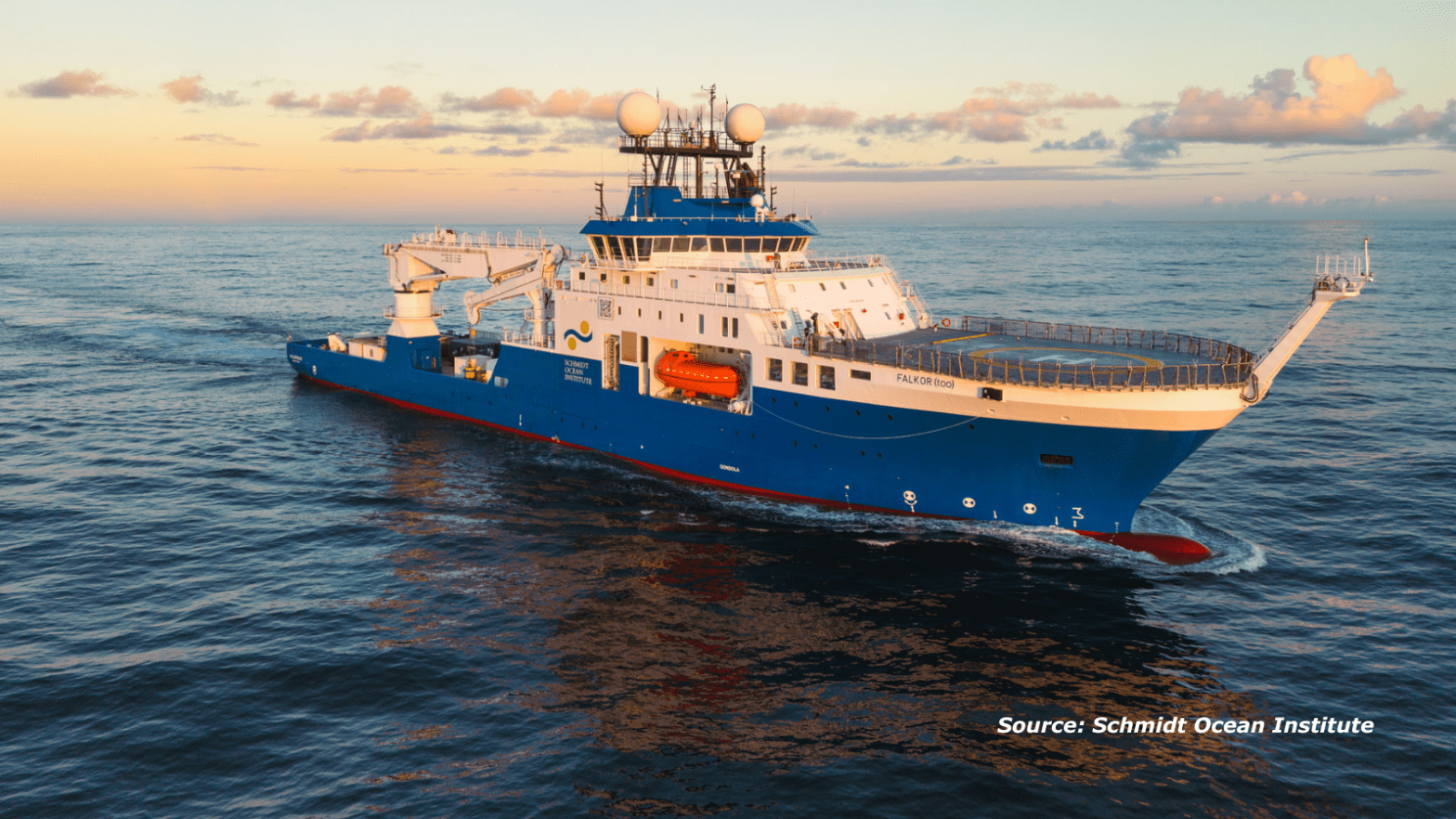 Deep Wonders of Trinidad and Tobago and the High Seas