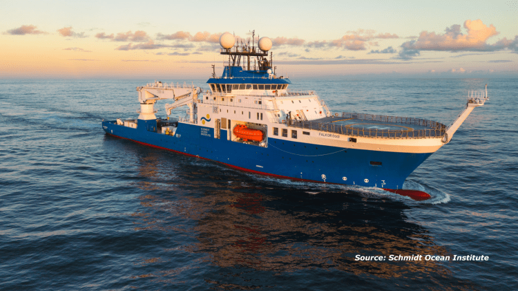 Deep Wonders of Trinidad and Tobago and the High Seas